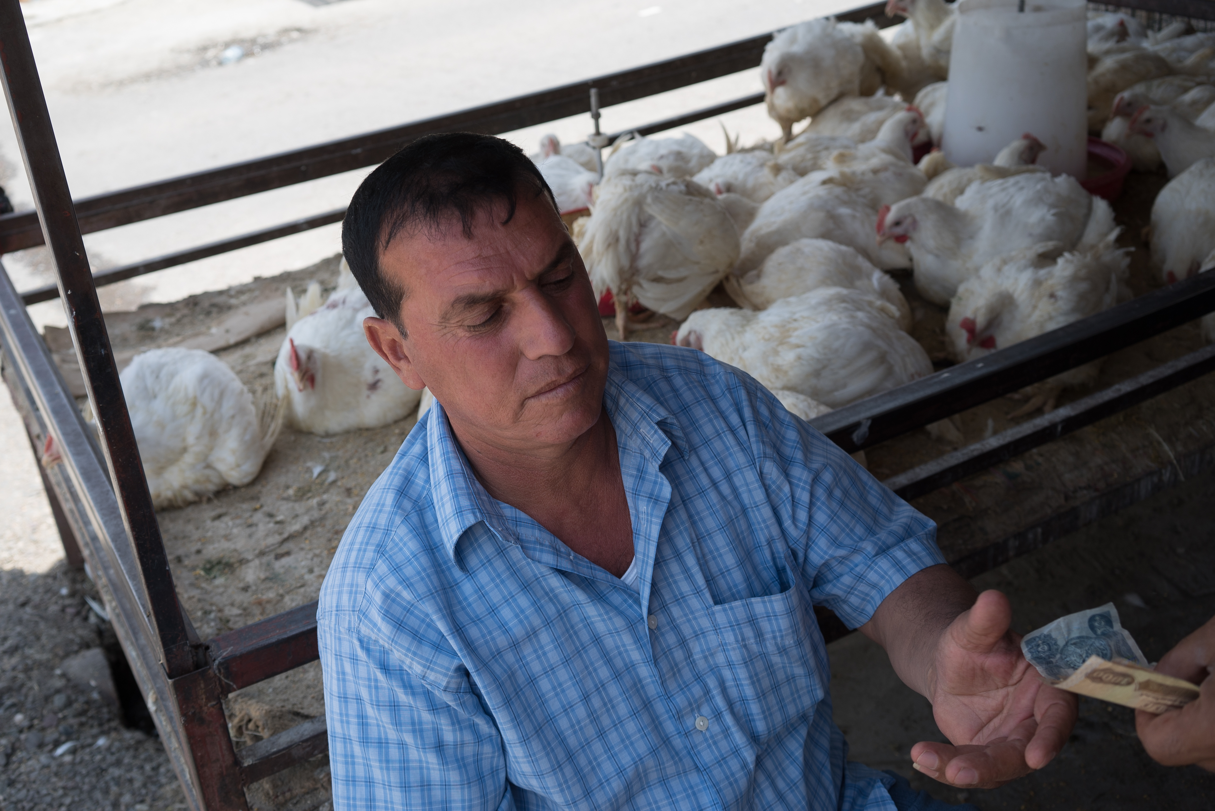 Erbil market for birds and animals, Erbil, Kurdistan Region, June 4, 2016. (Photo: Kurdistan24/Alexandre Afonso)